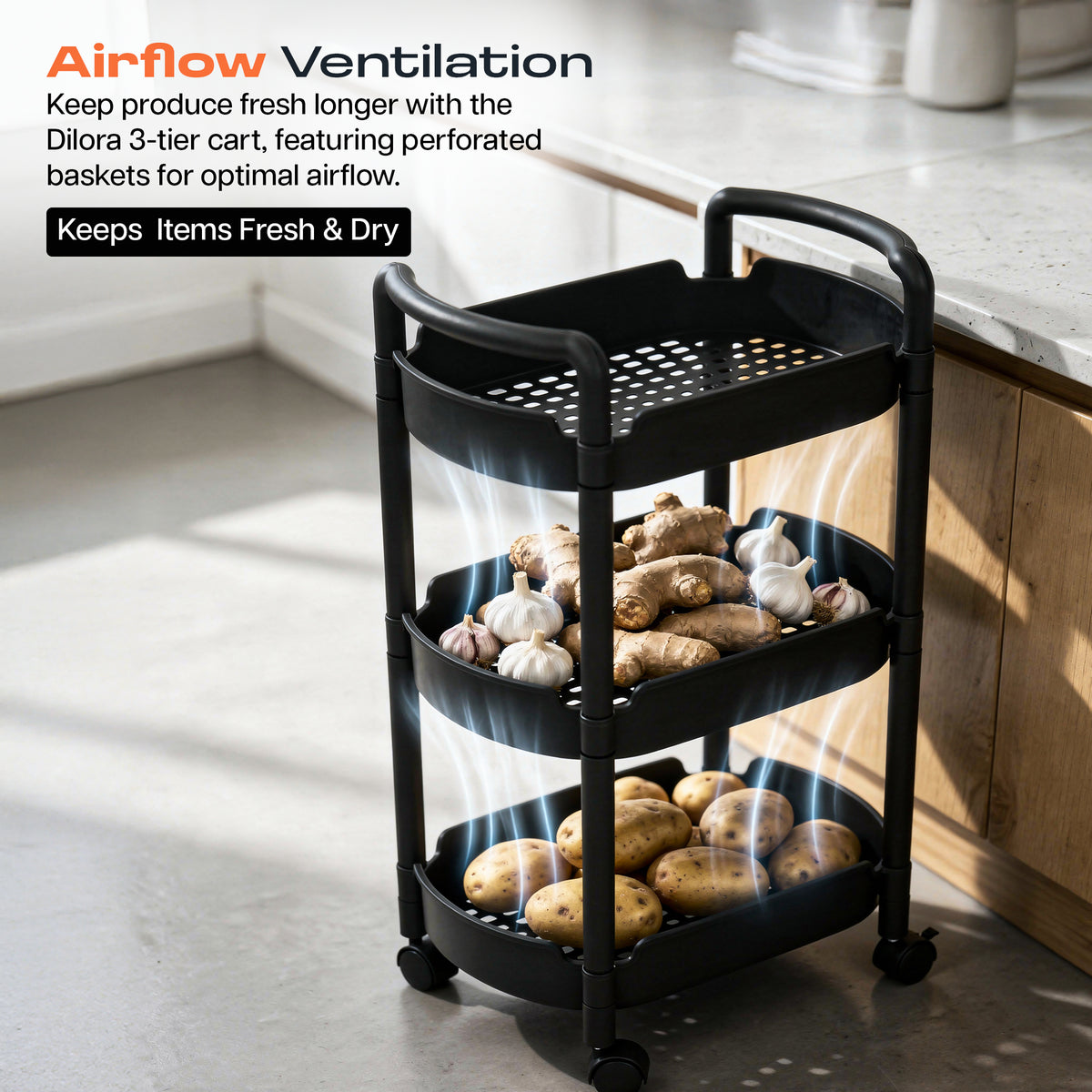Storage Rack Trolley