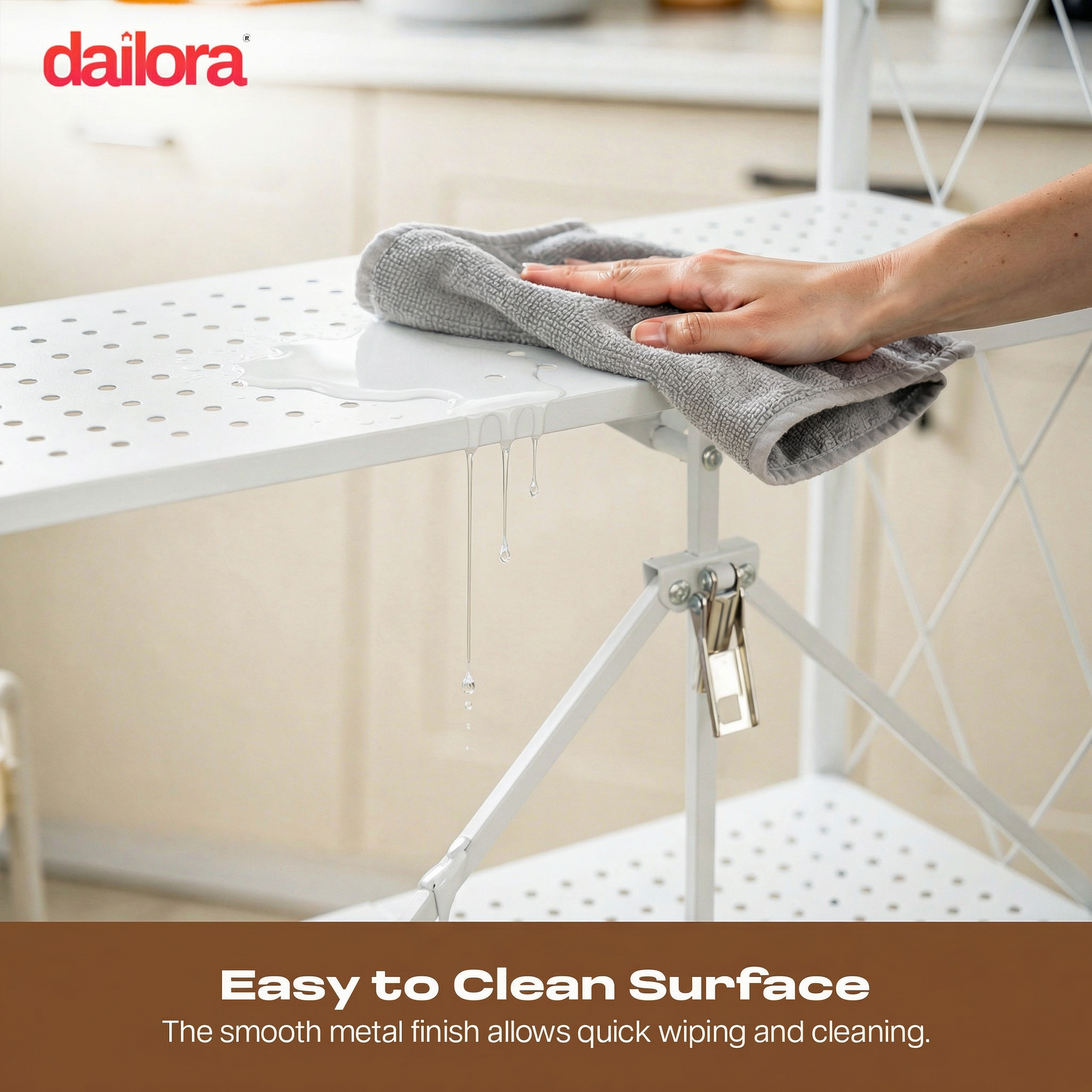 Metal Shelf Organizer